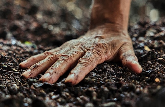 Hand touching soil and feeling the Earth's pulse